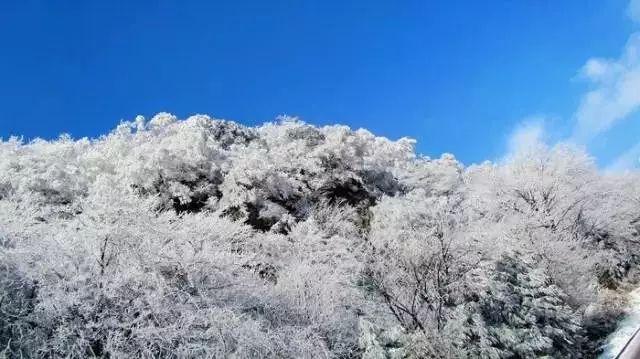 陈光的妻儿过得如何?每逢过节罗帅夫妻就接他们吃饭