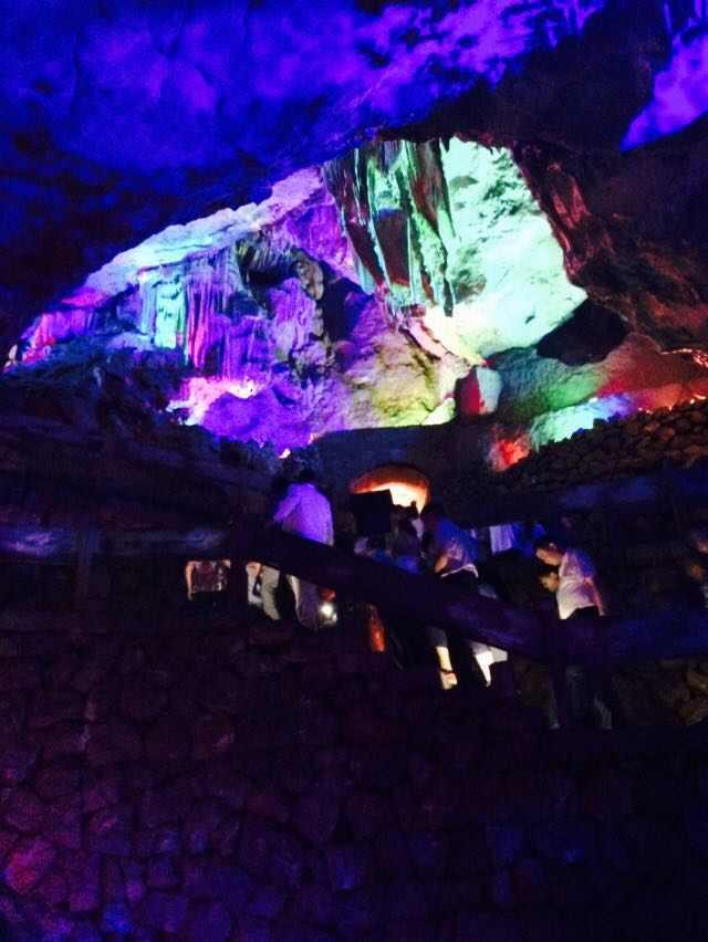 拯救枯树