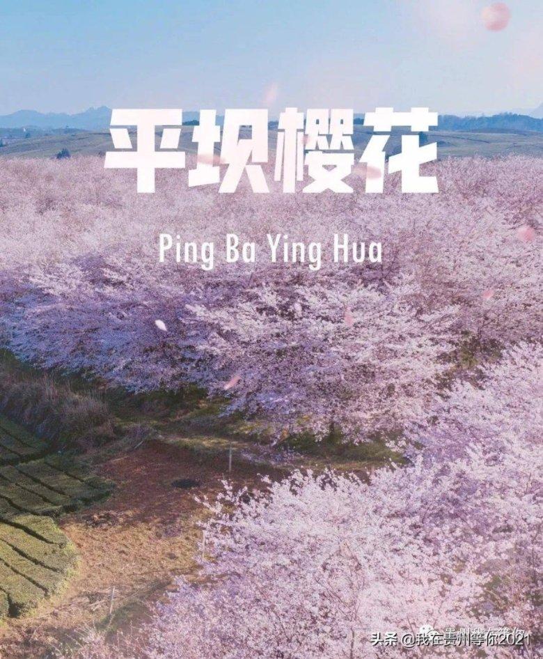 探索弗洛伊德的贡献到底有多大?,获得知识星球的独特洞见