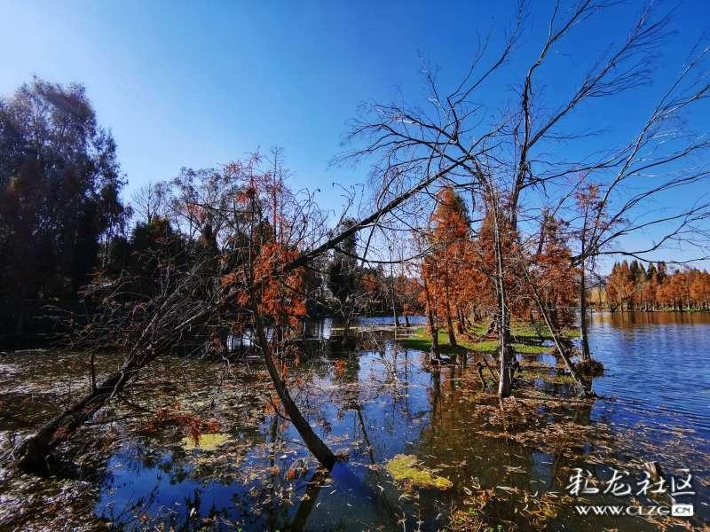 湘西州计生协开展新春走基层送温暖慰问活动