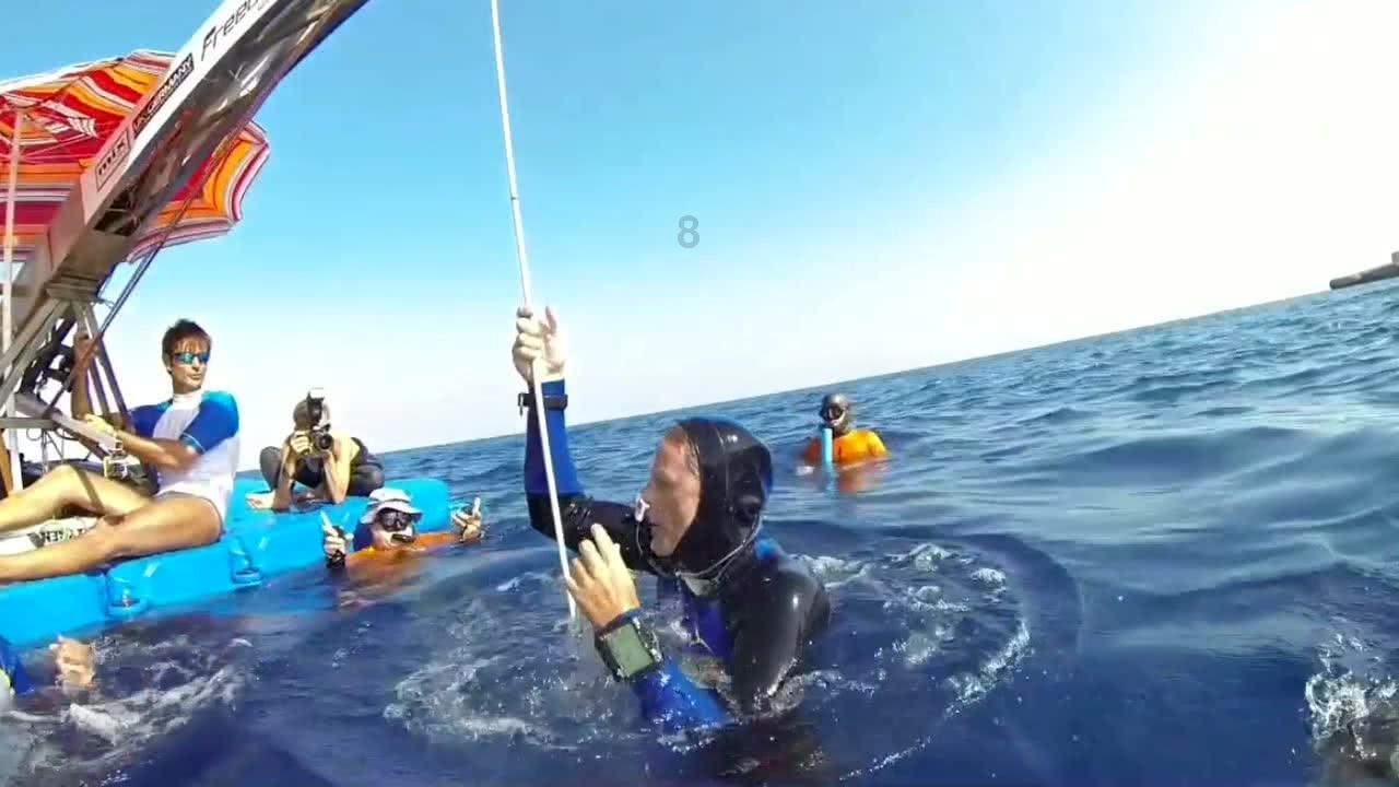 红树林逃生