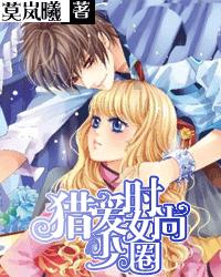 塞尔达：荒野之息