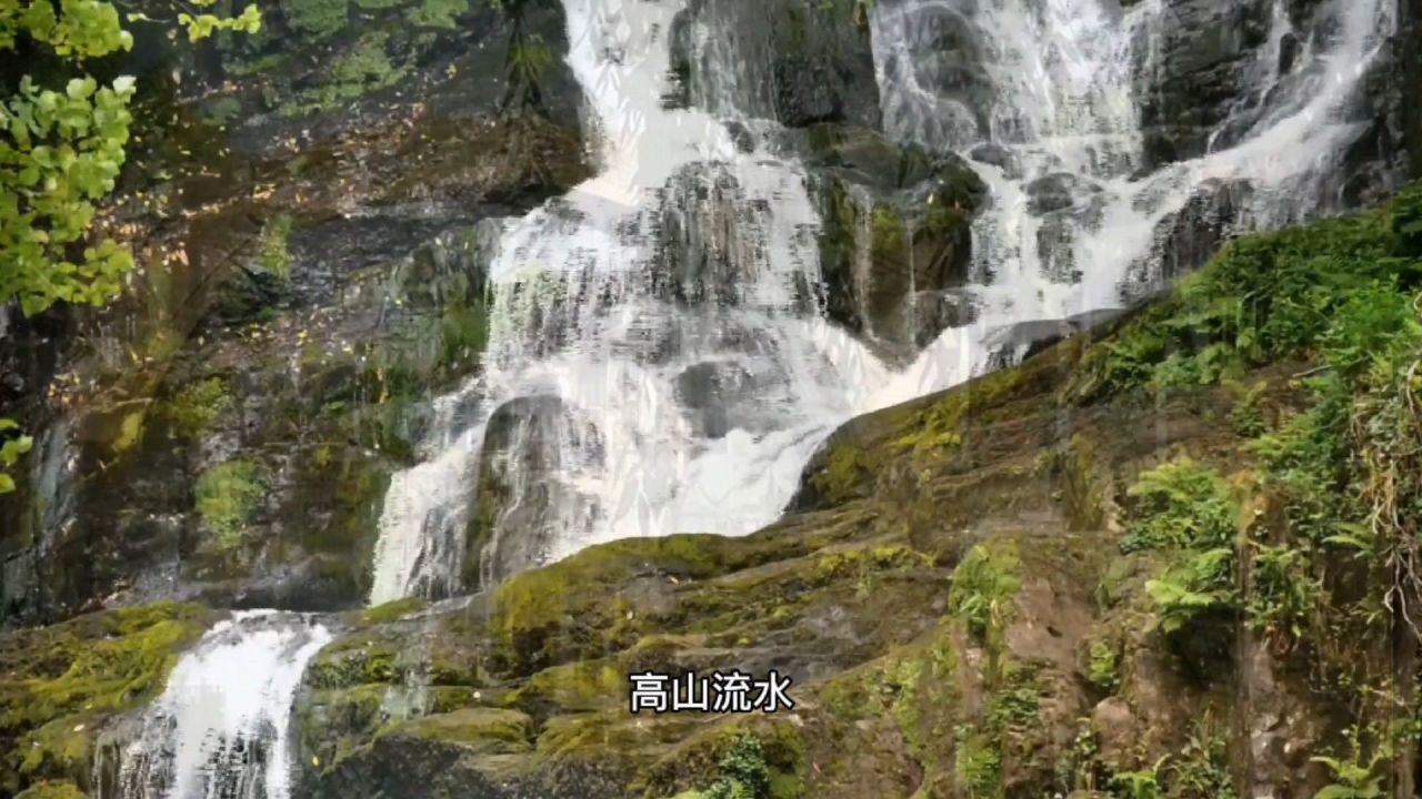 玖玖环保小达人