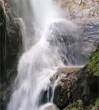 三门：大棚瓜苗嫁接忙