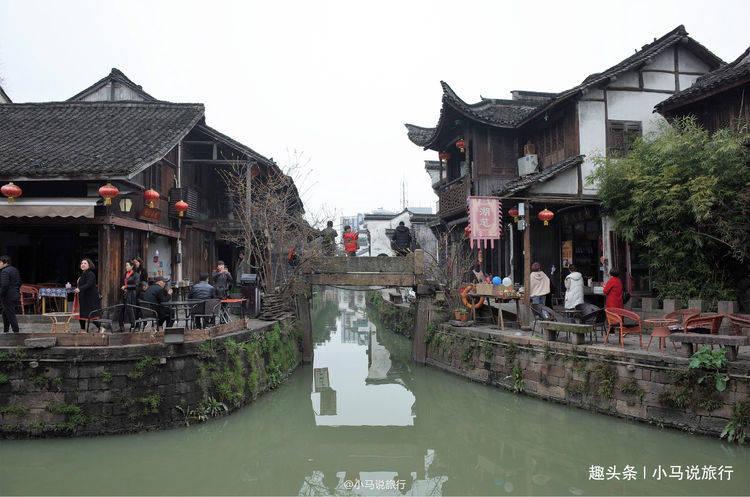 茂密丛林逃生