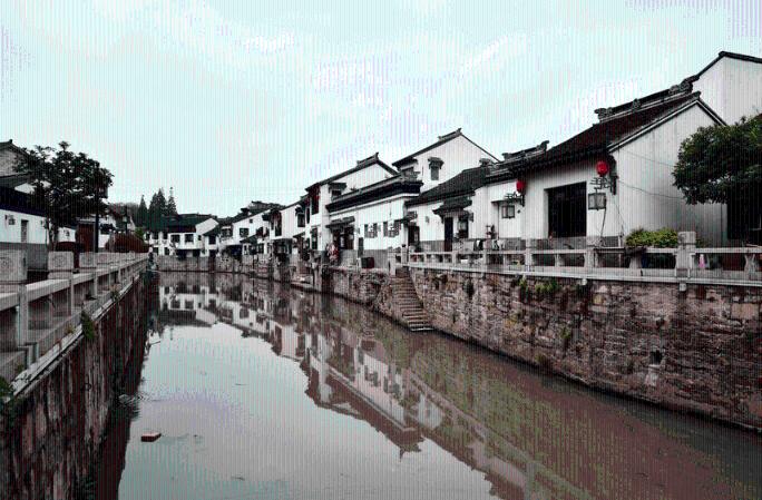 却是橙黄橘绿时!解锁铜梁区人民公园的彩色冬天→